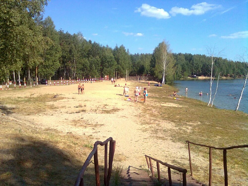 Озеро нижнее отзывы. Золинское озеро Нижегородская область. Золинское озеро Володарский район. Золинское озеро Дзержинск. Золинское озеро Нижегородская область пляж.