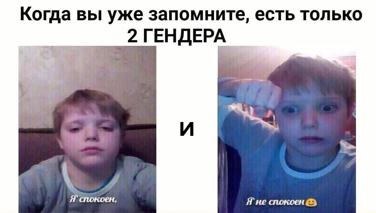 Есть только два гендера. Есть два гендера. существует только два гендера. есть 2 гендера мем. существует 2 гендера.