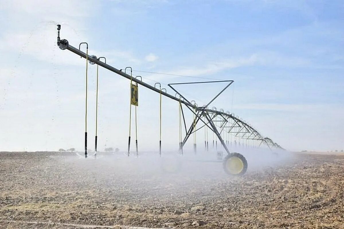 Спринклерное орошение. Дождевальная машина. Дождевание кукурузы. Спринклер капельный полив. Тамшылап суару кезінде үнемделетін су көлемі.