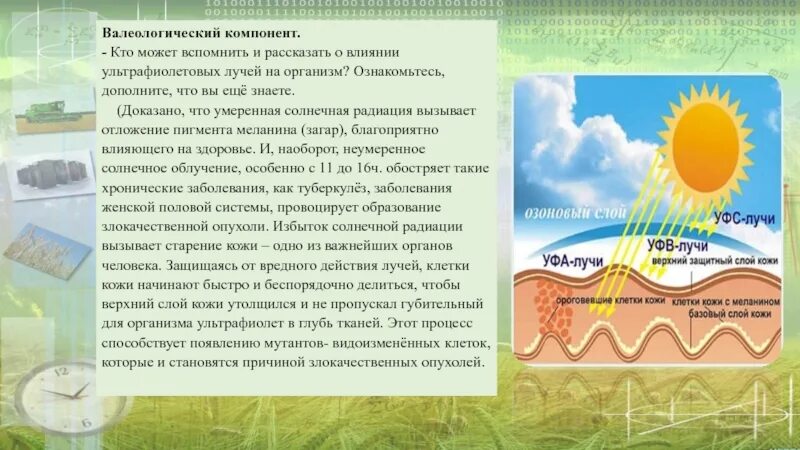 Солнечная радиация и Биосфера. Воздействие ультрафиолета на кожу. Солнечная радиация презентация биология 10 класса. Под влиянием ультрафиолетовых лучей в организме человека образуется.