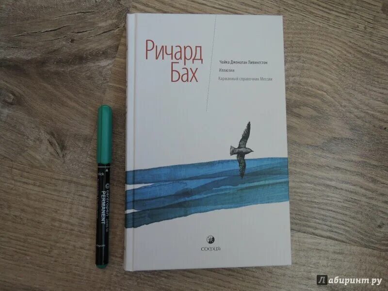 Книги ричарда баха отзывы. Чайка Джонатан книга. Книга Джонатан Ливингстон.