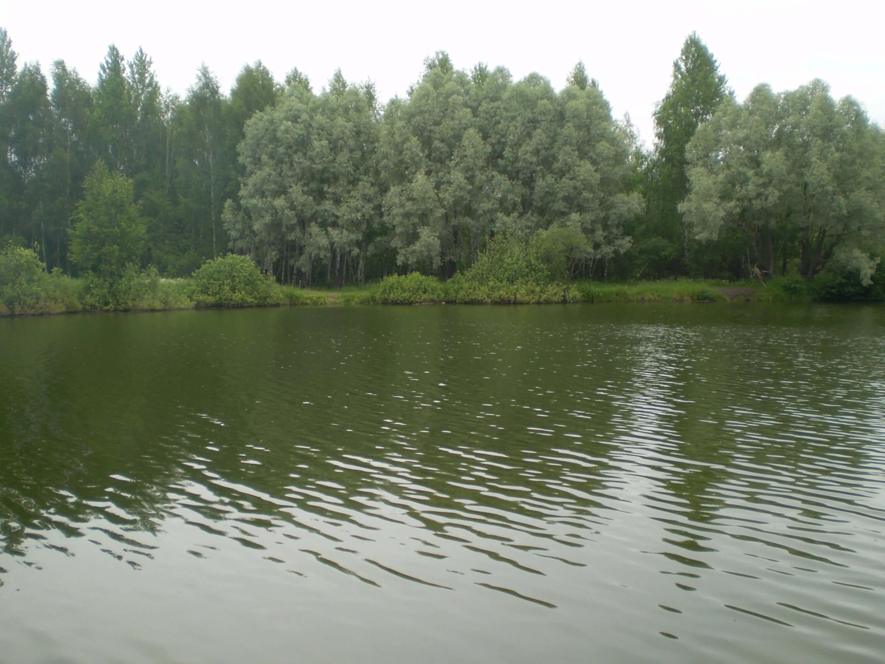 Водоемы костромы