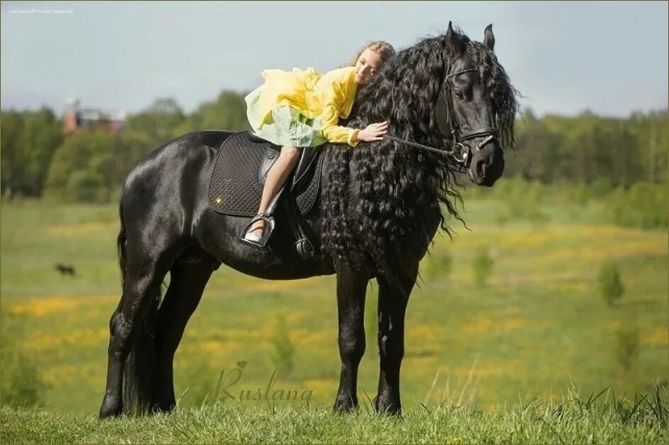 Фотосессия роскошная с лошадью.