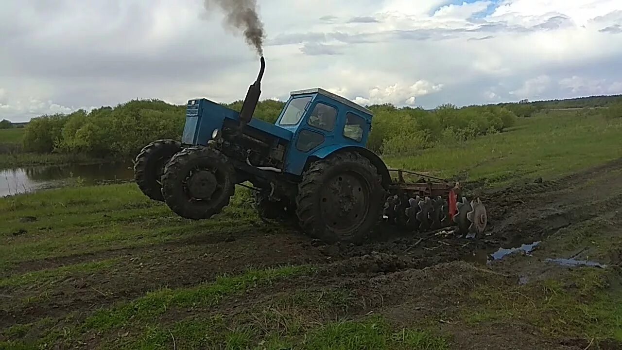 Скорость трактора пахота. Трактор ЛТЗ Т-40ам. Трактор т 40 ам пахота. Трактор т-40 ам с телегой. ЛТЗ Т-40 С плугом.