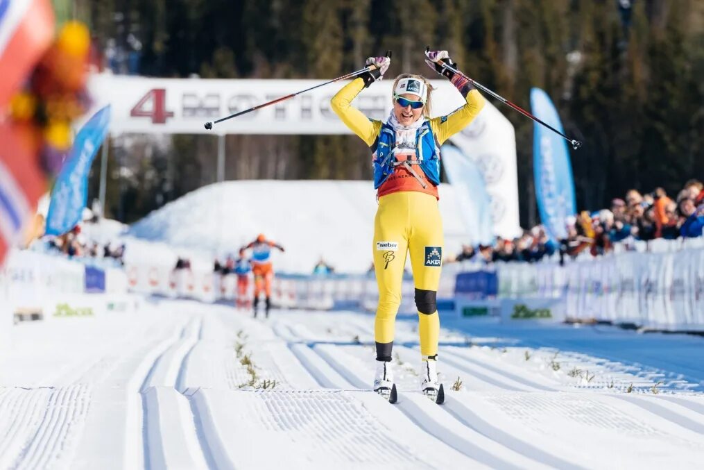 лыжные гонки по телевизору