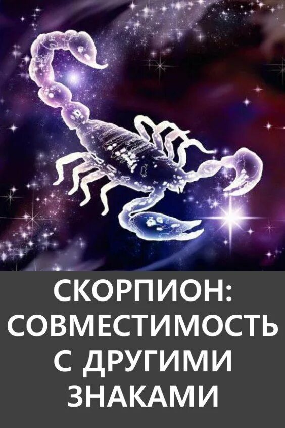 Скорпион скорпион совместимость форум. Совместимость скорпиона. Совместимостьскорпмона. Скорпион и Скорпион совместимость. Скорпион знак зодиака совместимость.