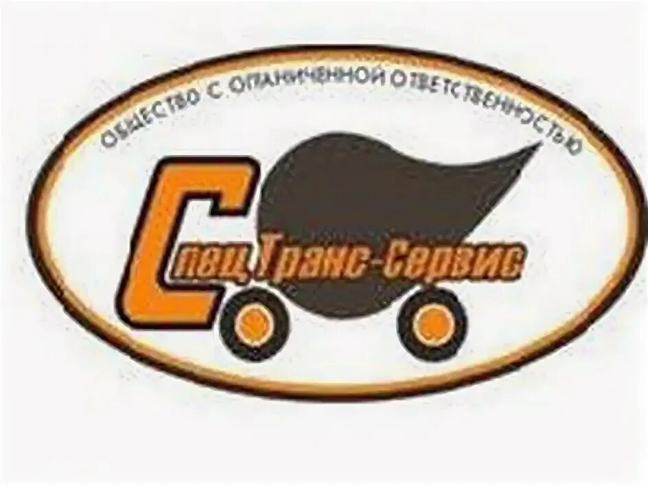Спецтранс директор. Спецтранс сервис г стрежевой. спецтранссервис. транссервис логотип.