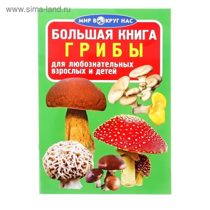 Книга про грибы. Книги про грибы для детей. Книжка про грибы. Детские книги про грибы.