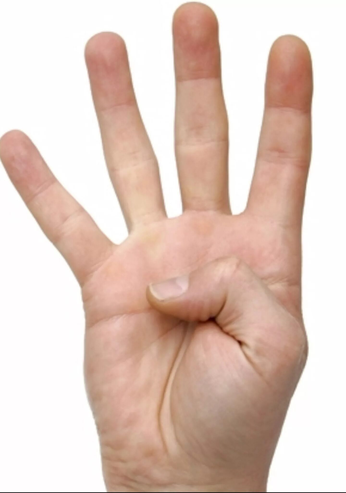 Четыре пальца на руке. 4 Пальца. Четыре пальца на руке жест.