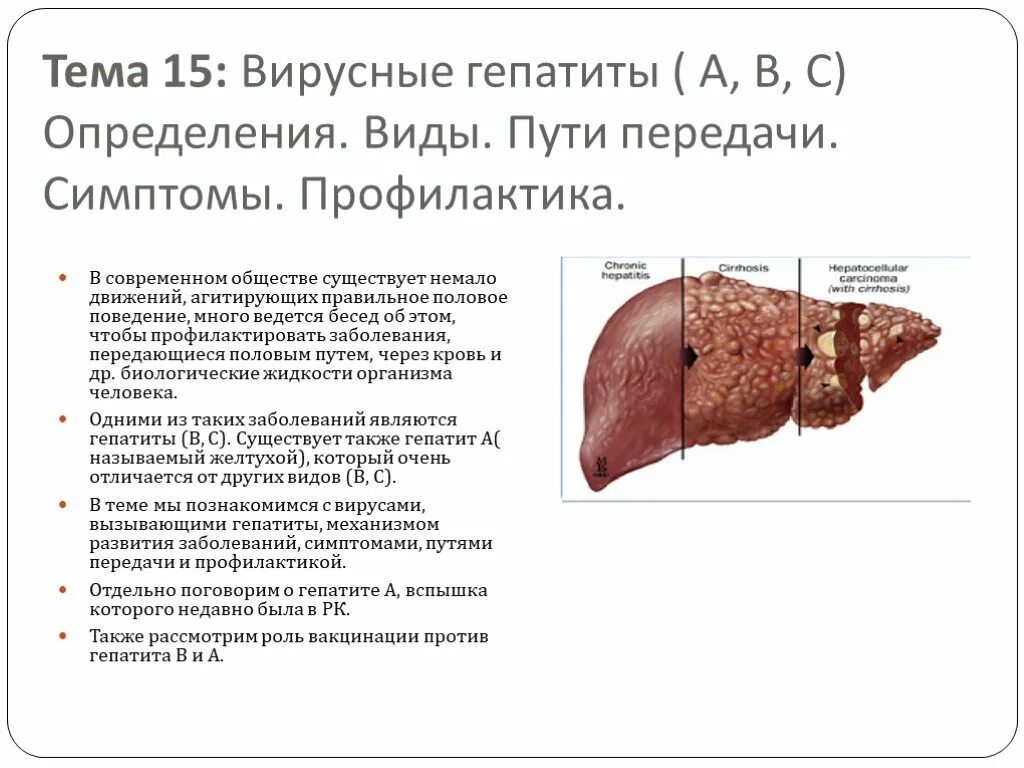 Типы вирусных гепатитов. Гепатиты виды и пути передачи. Вирусные гепатиты. Гепатит с пути передачи. Гепатит с пути передачи симптомы.