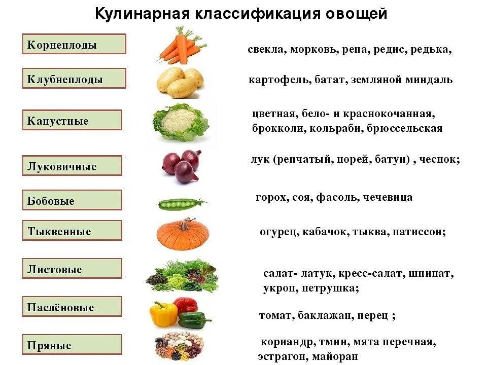 Какие фрукты относятся к овощам. Классификация овощей. Схема обработки корнеплодов.. Схема классификации овощей таблица. Классификация овощей по группам таблица. Классификация овощей 5 класс технология таблица.