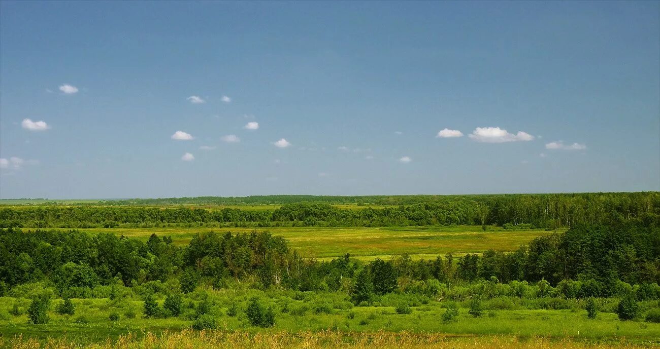 Саратовская область краснодарский край