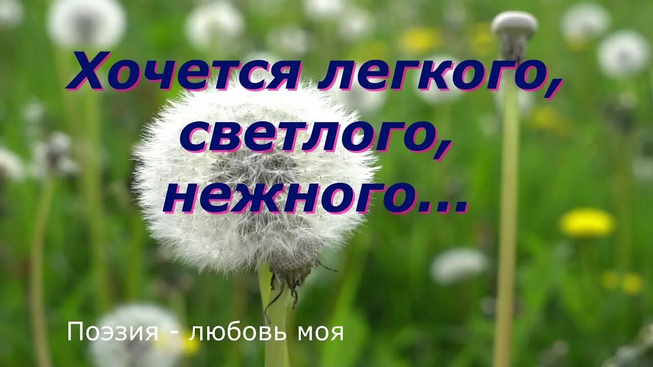 Хочется стих рязанова. Стихотворение хочется легкого светлого нежного. Ах как хочется просто жить окуджава текст. Хочется легкого стихи. Хочется лёгкого светлого нежного стихи.