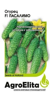 Огурцы сорт пасалимо