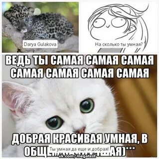 Тест на сколько ты умный