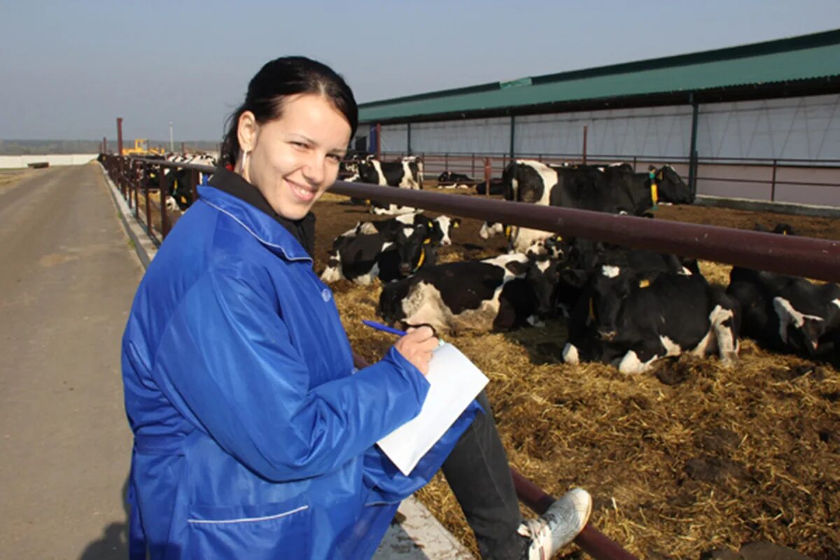 сельское хозяйство доярка. женщины животноводы. коровы на ферме. доярка с коровой. работа сельский хозяйства с проживанием.