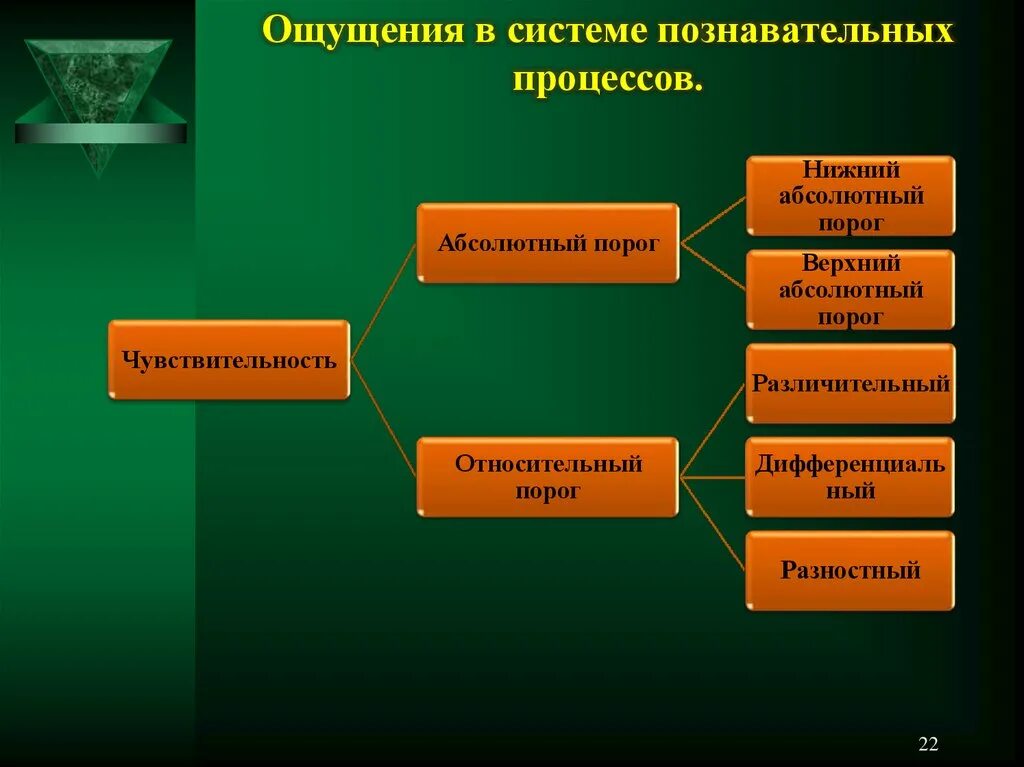 8 познавательных процессов. Система познавательных процессов. Виды познавательных процессов. Познавательные процессы схема. Механизмы познавательных процессов.