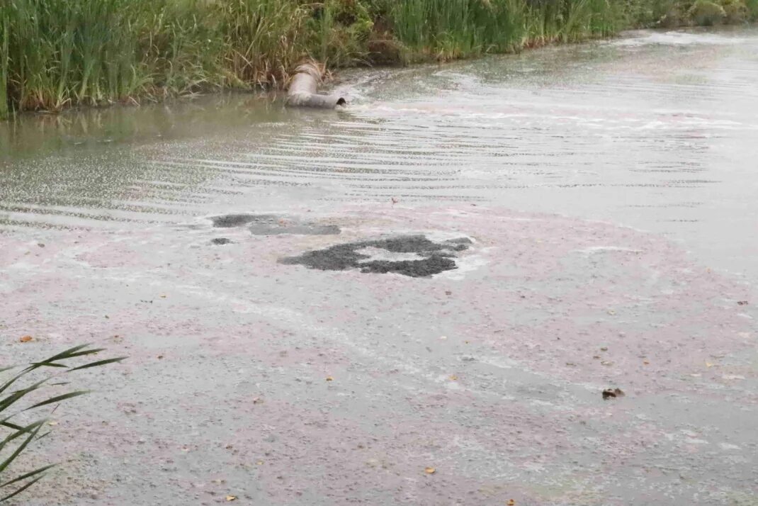 Вода воняет рыбой. Загрязнение рек. Мутная вода в реке. Загрязненный водоем. Купаться в реке.