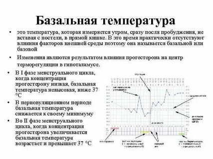 Как измерить базальную