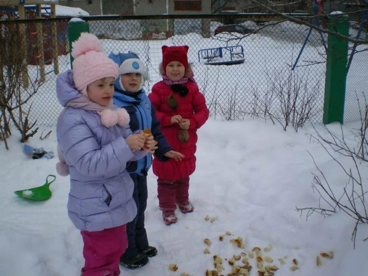 Фото. Конспект зимней прогулки. Прогулка на свежем воздухе в младшей группе. Конспект зимней прогулки. Дети на экологической тропе детском саду на прогулке зимой.