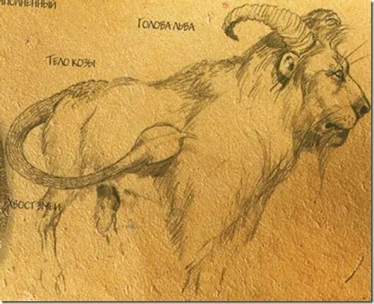 Мужчина лев коза женщина лев коза. Мужчина лев коза женщина лев коза. Лев коза и человек. Leo картинки. Лев и коза картинки.