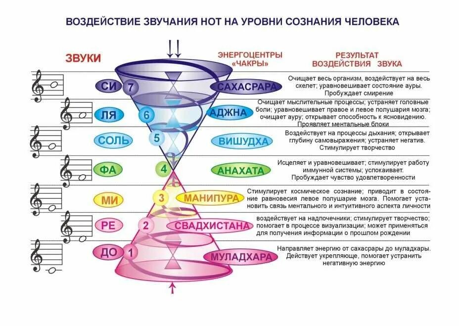 Звук организма слушать. Звуковые частоты чакр. Влияние эмоций на вибрации человека. Чакры и уровни сознания. Уровни сознания человека чакры.