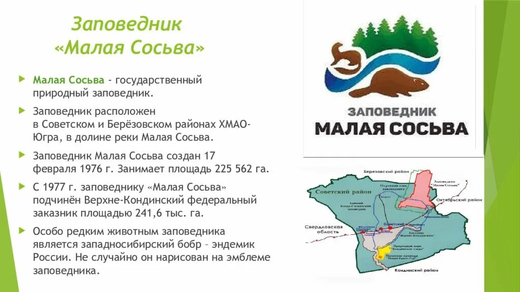 Заповедники хмао малая сосьва. Заповедники хмао малая сосьва. Река малая сосьва. Заповедник малая сосьва растения. Заповедники хмао малая сосьва.