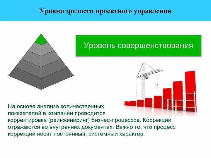 Показателем зрелости является. Уровни зрелости проектного управления. Оценка зрелости проектного управления в организации. Уровни зрелости компании. Оценка уровня зрелости проектной деятельности организации.