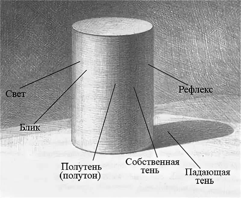 Цилиндр свет тень полутень. Свет тень полутень рефлекс блик в рисунке карандашом. Цилиндр Светотень рефлекс. Тени полутени рефлексы блики на цилиндре. Схема света и тени