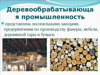 Какую продукцию выпускает