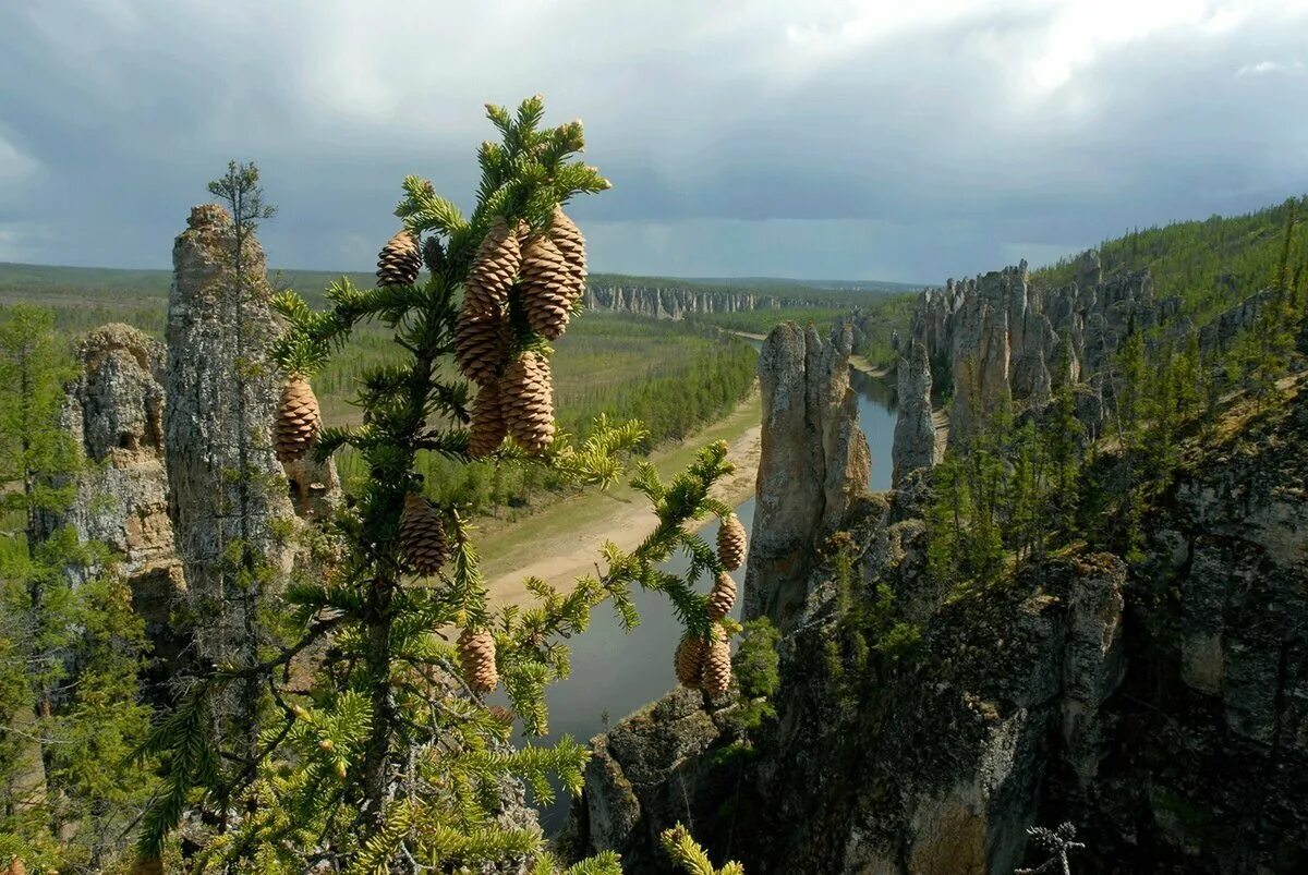 Фото республики саха якутия. Республика Саха Якутия природа. Республика Саха Якутия лето. Бутылочная скала Нерюнгри. Республика саза Якутии.