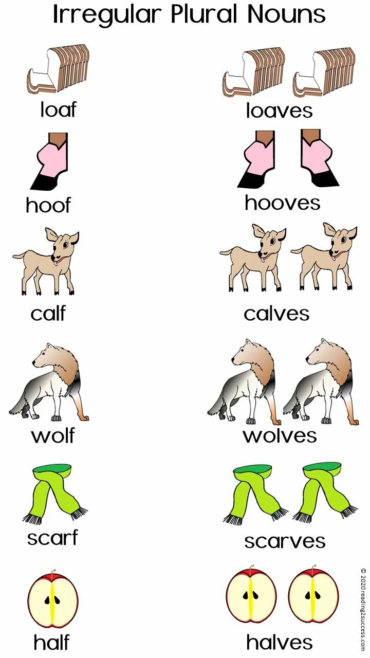 Irregular plurals list. Irregular plural Nouns for Kids. Wolf Irregular plural.