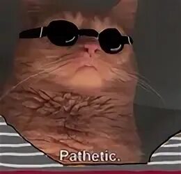 Сеймур скиннер pathetic. Ничтожество мем про симпсонов. Аска пакетик. Асука pathetic. Аска pathetic original.