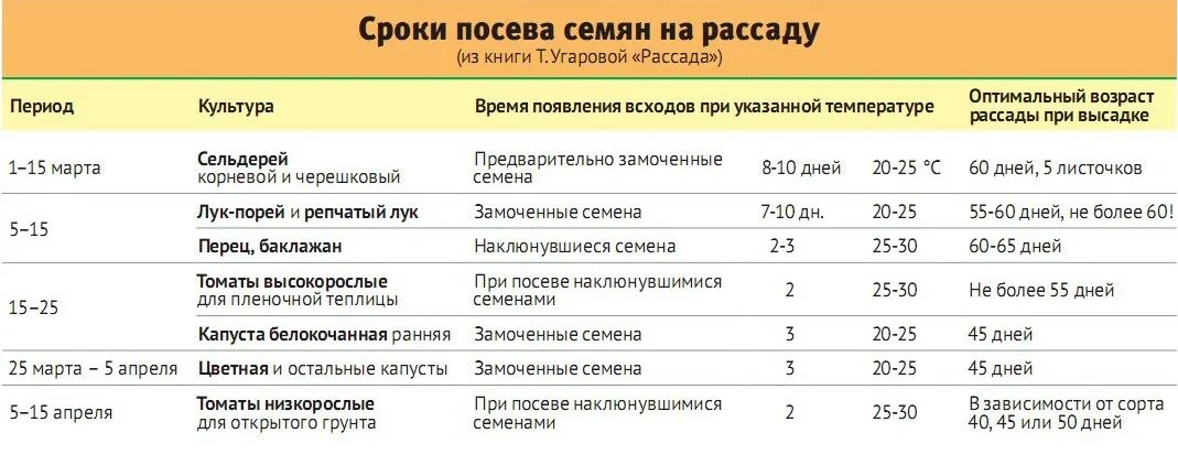С какого возраста могут посадить