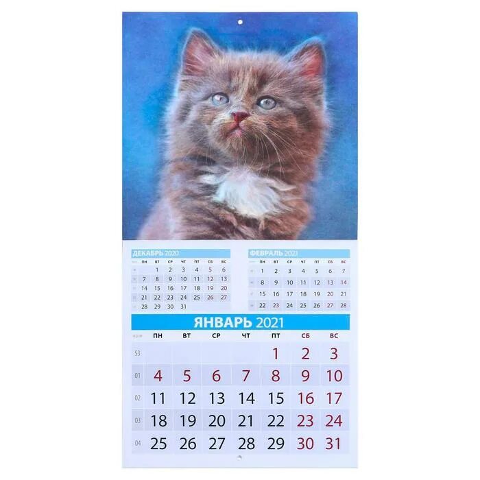 Когда день котов в 2021. Календарь 2021 с кошками. Котик 2021. Календарик2021 года с котюнком. Котик 2021.