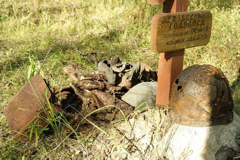 Нашел солдат в заросшем поле. Могилы погибших солдат 1941-1945. Могила солдата Великой Отечественной войны. Бесвести пропавшие войны ВОВ. Захоронения воинов красной армии подо Ржевом.