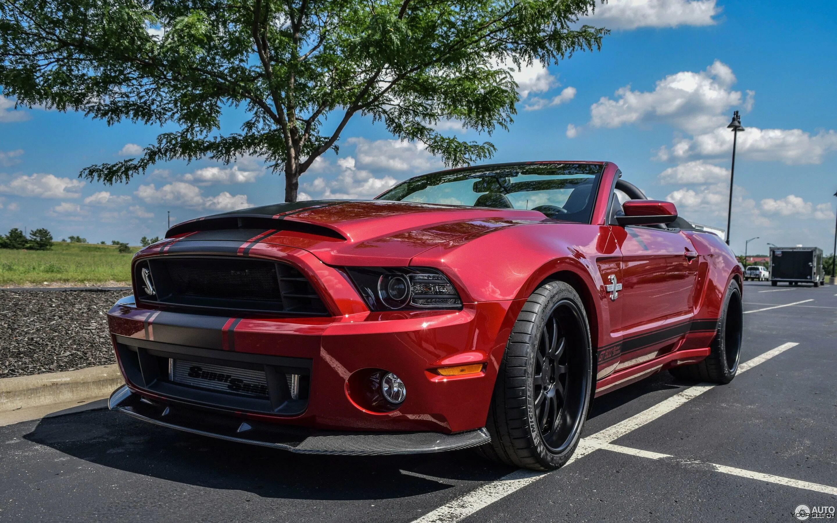 Мустанг джити. Форд Мустанг Шелби. Форд Мустанг gt 500 Shelby. Форд Мустанг Шелби gt 500 супер Снейк. Ford Mustang Shelby gt500 2014.