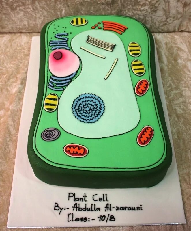 Cell project