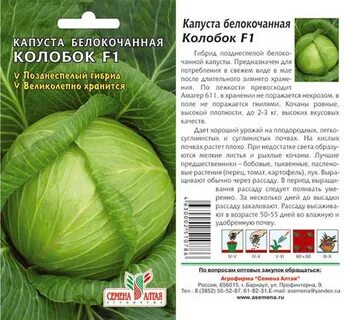 Сорт капусты сесиль