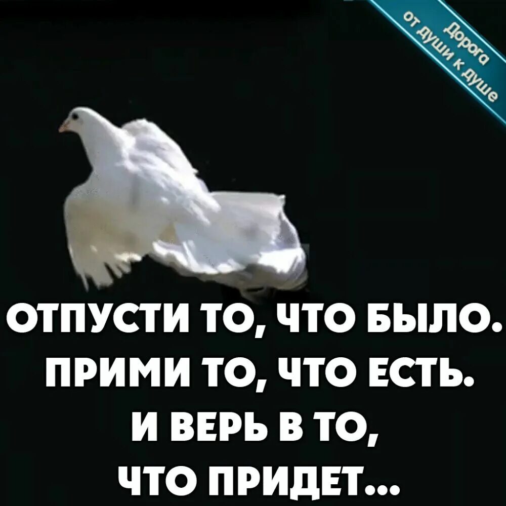 Будь сильной и верь. Прими и отпусти. Прими что есть и отпусти что было. Прими то что есть отпусти то. Отпусти то что было прими то что есть и верь в то что придет.