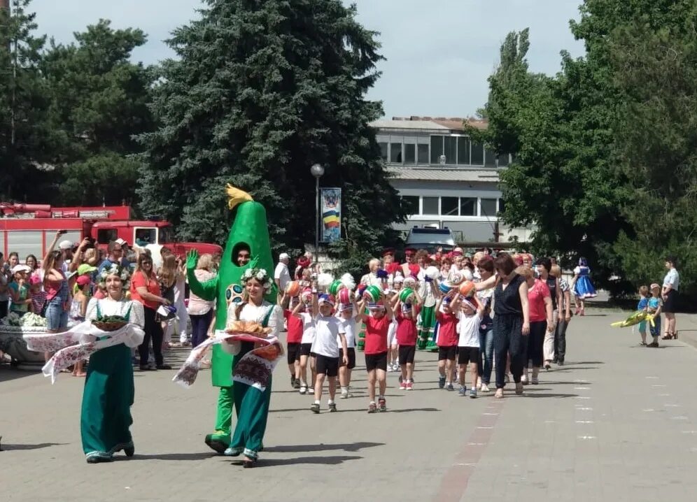 День огурца ростов. Праздник Багаевского огурца. Фестиваль огурца в Багаевской. Ст Багаевская Ростовской области. Праздник огурца в Багаевке.