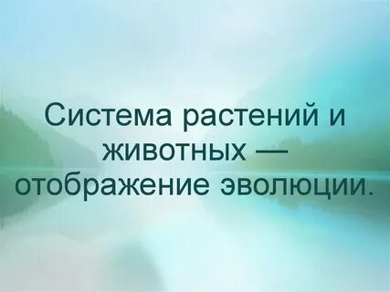 Система растений и животных