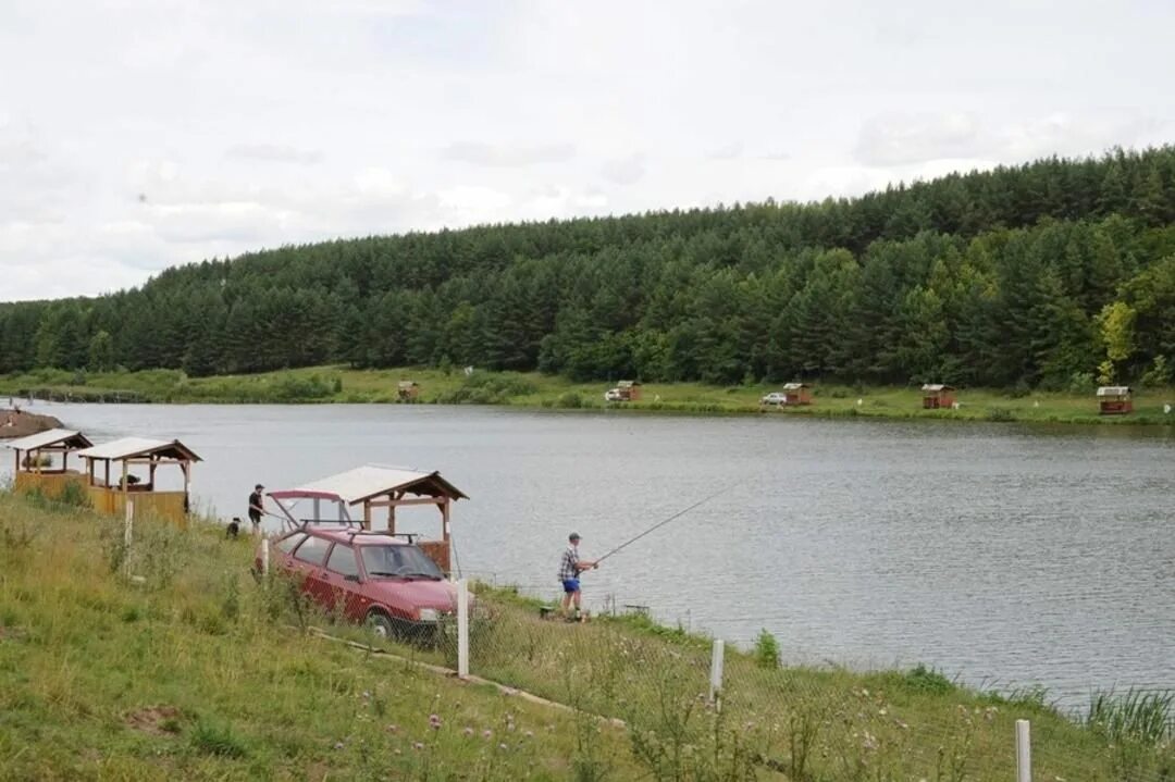 Стадион рыбалка. Пруд Троица Курская область. База Троица Курск. Троицкое Курская область база отдыха. Троица рыбалка Курск.