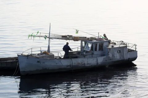 Рязанская мрб отзывы