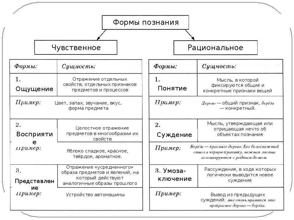 Уровни познания чувственное и рациональное познание. Схема основные формы познания 10 класс Обществознание. Формы чувственного и рационального познания. Формы познания таблица. Виды познания таблица.