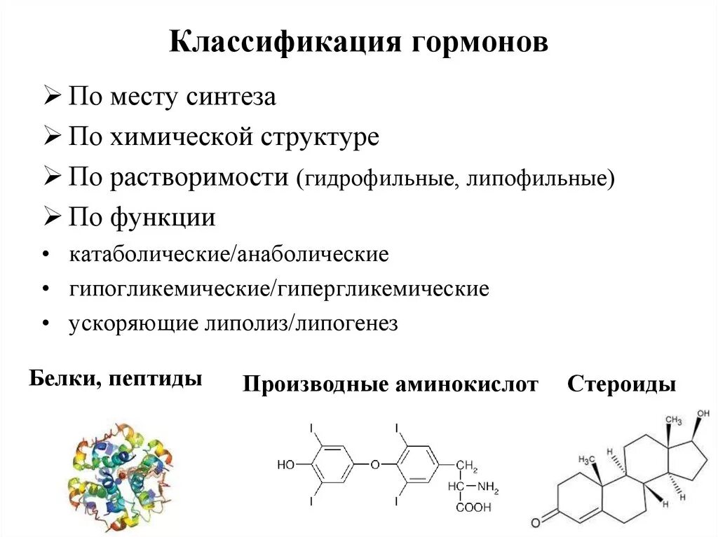 В ферменты входят гормоны. Классификация гормонов по месту синтеза биохимия. Классификация пептидных гормонов. Пептидные гормоны номенклатура. Химическая классификация гормонов производные аминокислот.