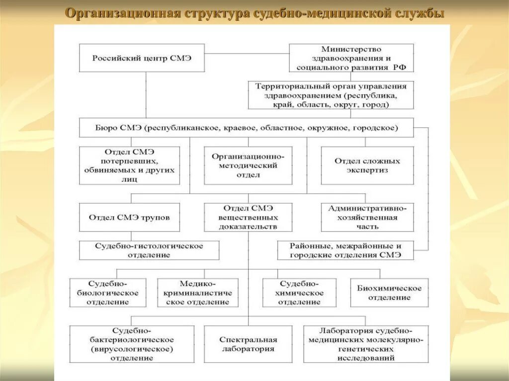 Судебно экспертное учреждение рф. Структура бюро судебно-медицинской экспертизы в РФ. Структура подразделений бюро судебно медицинской экспертизы в РФ. Внешняя и внутренняя структура судебно-медицинской службы. Организационная структура службы судебно-медицинской экспертизы.