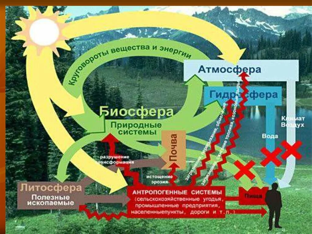 Человек часть биосферы экологические проблемы. Биосфера. Круговорот в географической оболочке. Взаимодействие человека и биосферы. Человек часть биосферы презентация.