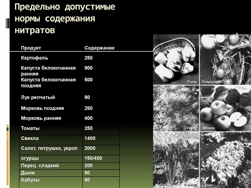 Нормы содержания нитратов. Допустимые нормы нитратов. Предельно допустимая норма нитратов. Допустимые нормы нитратов для человека таблица. Норма нитратов в воде