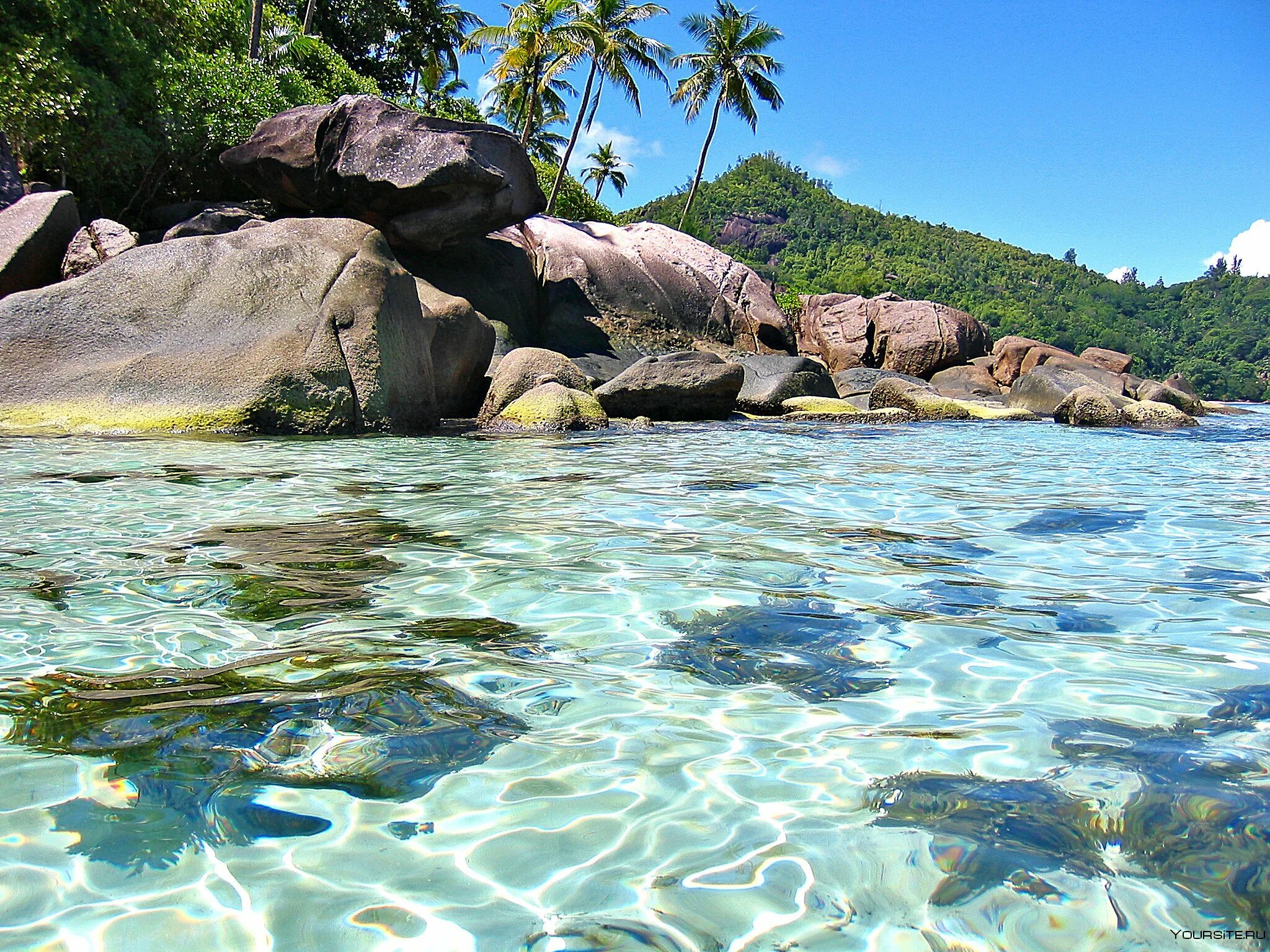 Island вода